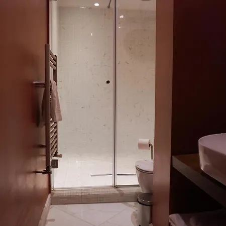 Boutique Alnis 4* 康斯坦察