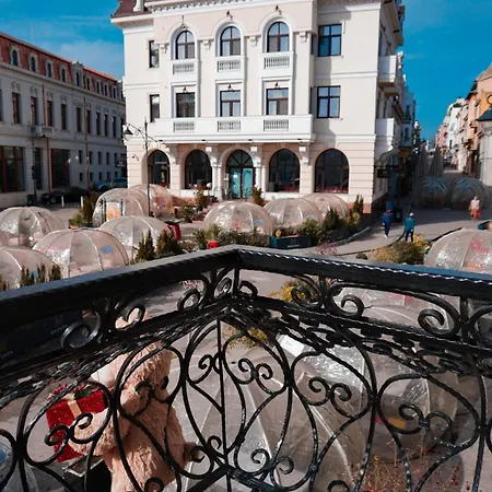 招待所 Boutique Alnis 康斯坦察